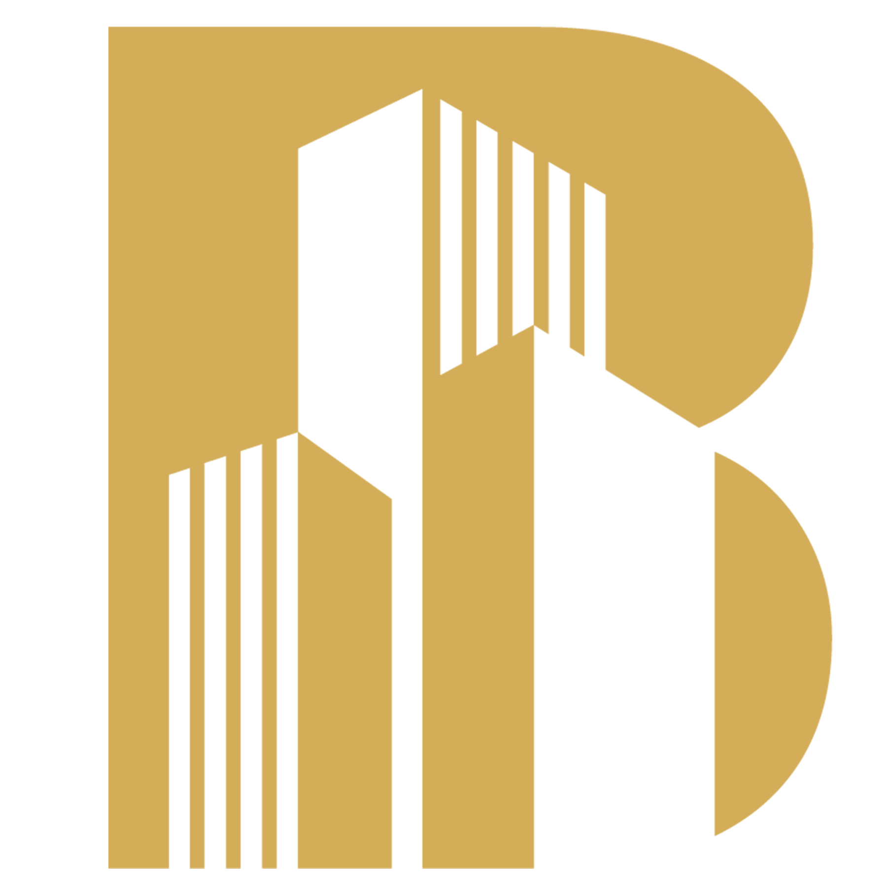 Boomcity Africa Logo