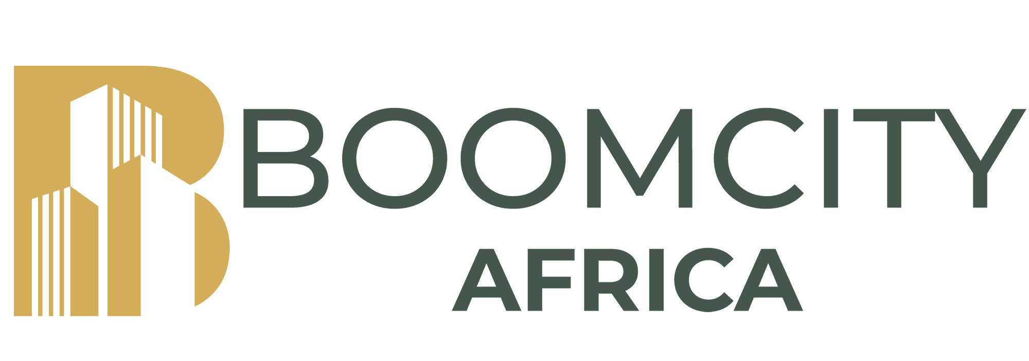 Boomcity Africa